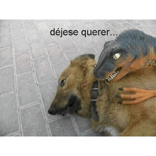 Pero que haya morras chidas 12