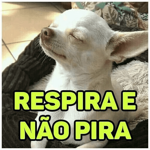 #meme 8
