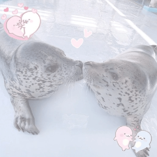 ෛ🌸᪲ㅤfoquitasㅤぱ @sakura.petals 2