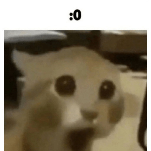 Random  2