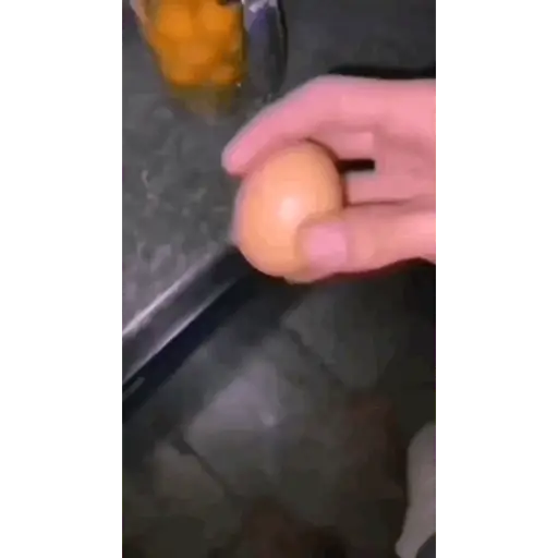 Egg