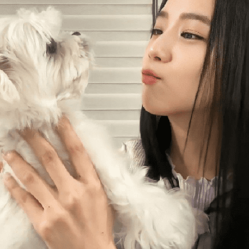 Jisoo 💥