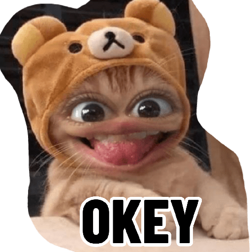 Risa 1