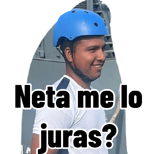 Risa 5