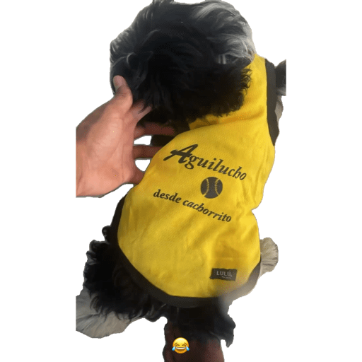 f5cf5507-20fa-4731-b27a-c4be2c41ab41.png