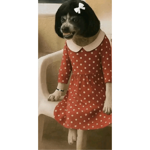 Tiktok 8