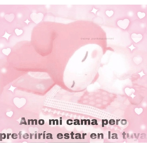 Mi gata oficial  10