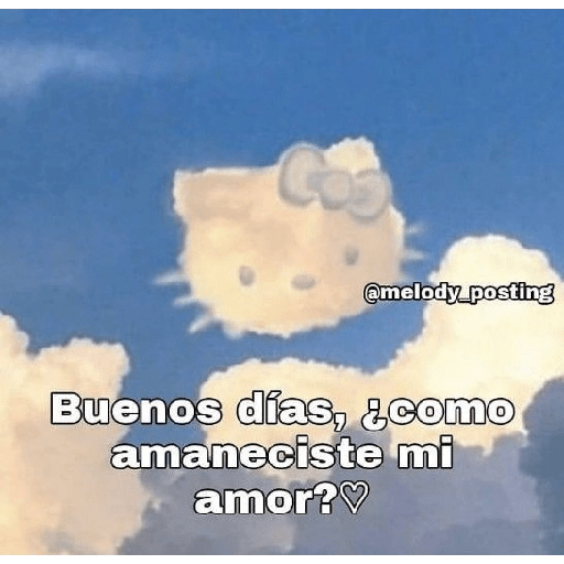 Mi gata oficial  20