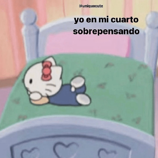 Mi gata oficial  24