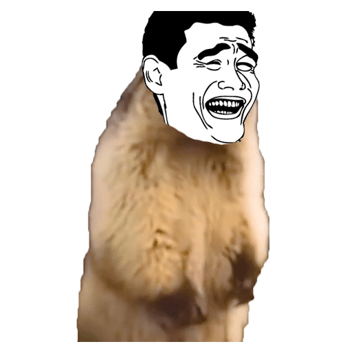 1699941528955.png