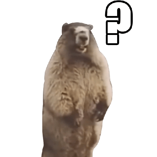 1699941530026.png