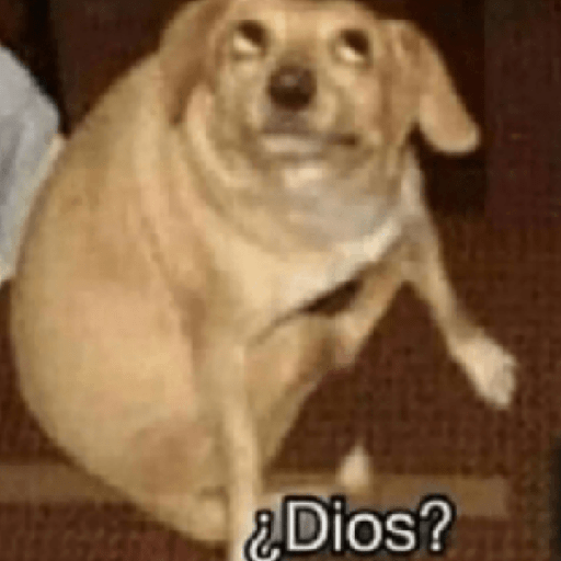 Memes 8
