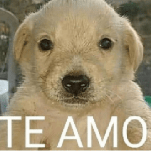 Memes 7