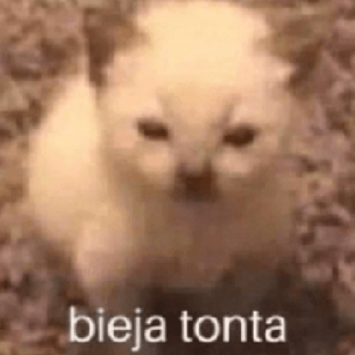 Memes 3