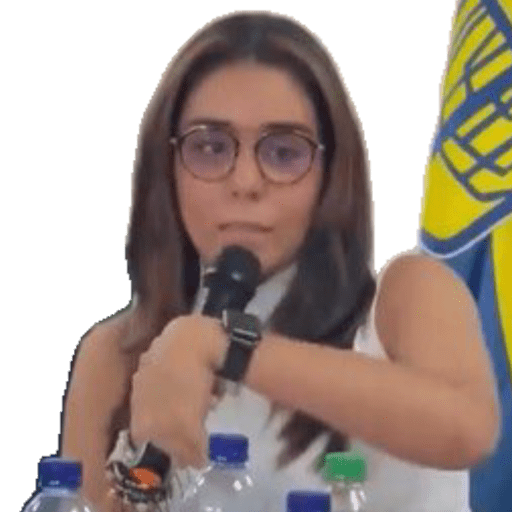 Mis pegatinas 15