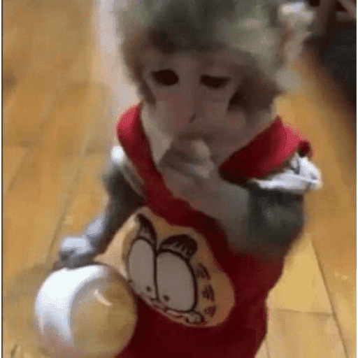 ස්ටිකර්