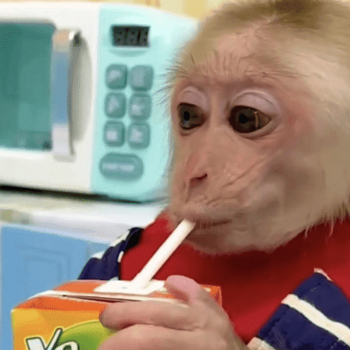 ස්ටිකර්