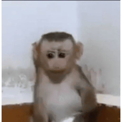 ස්ටිකර්