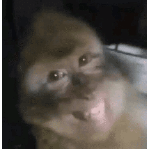 ස්ටිකර්