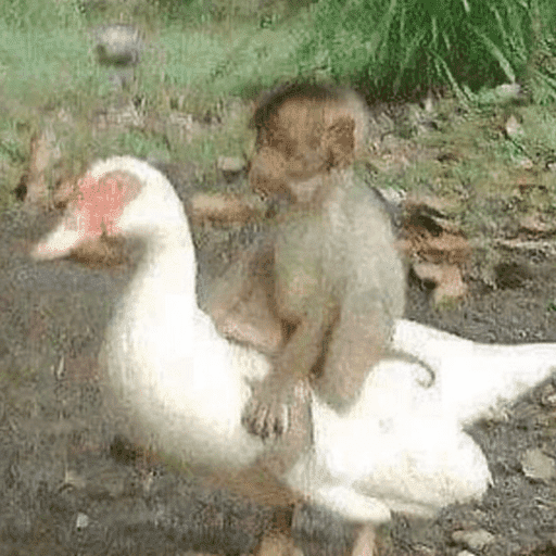 ස්ටිකර්