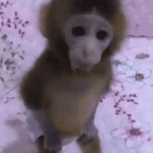 ස්ටිකර්