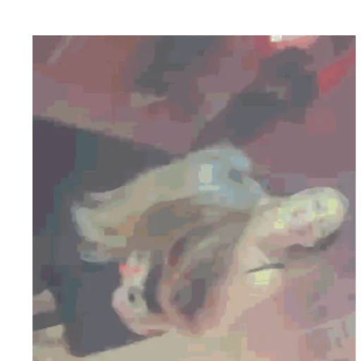 Figurinha