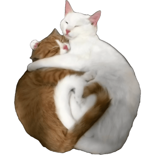 Sticker 5