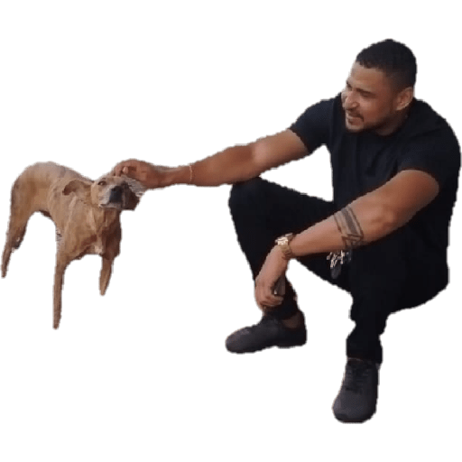 Ggg 8
