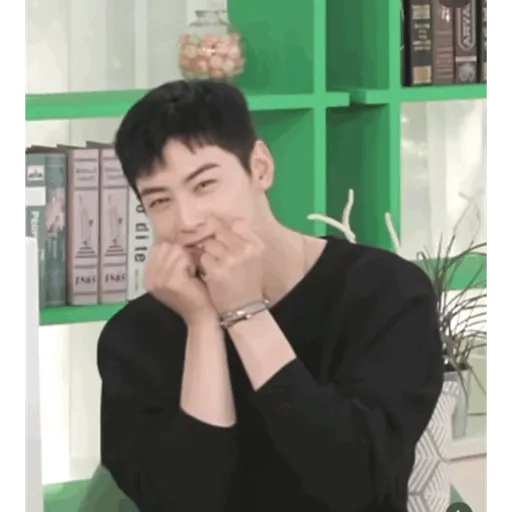 Cha Eun Woo