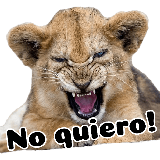 Princeso 23