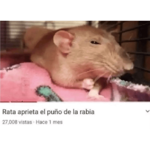 Shitpost 2🤠 22