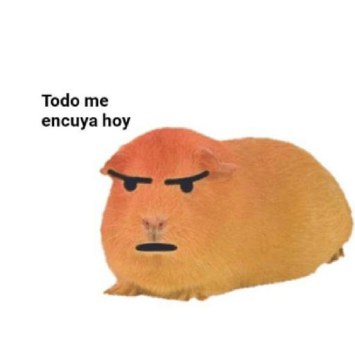 Shitpost 2🤠 25