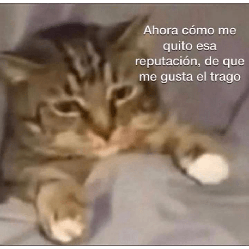 Shitpost 2🤠 27