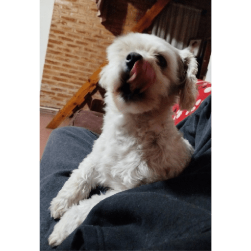 Piupiu