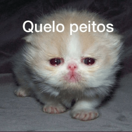 Amém 27