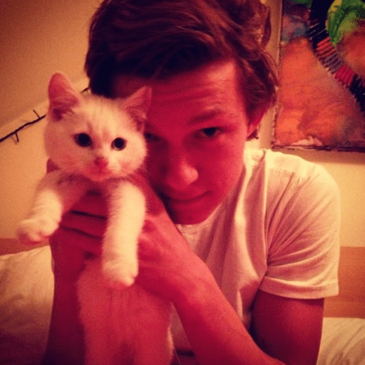 Tom Holland fig  13