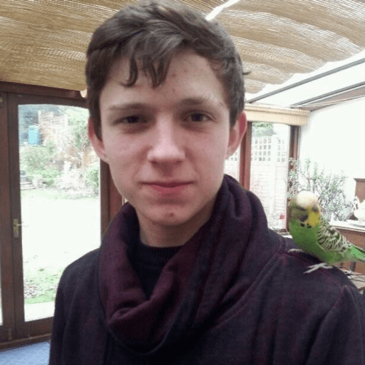 Tom Holland fig  27