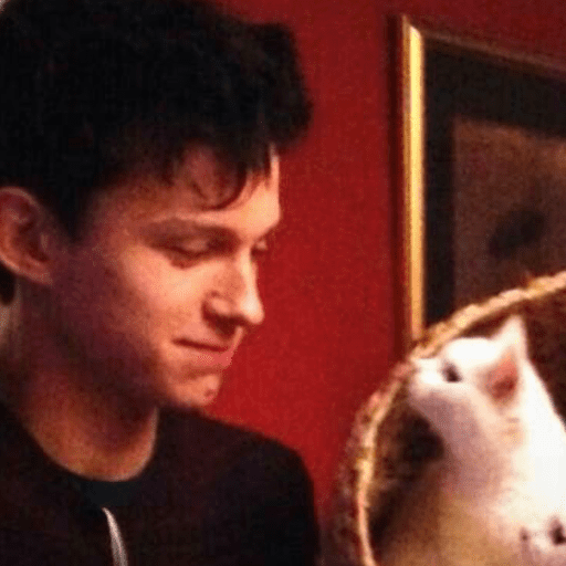 Tom Holland fig  24