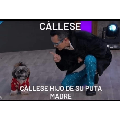 Yo que se 7
