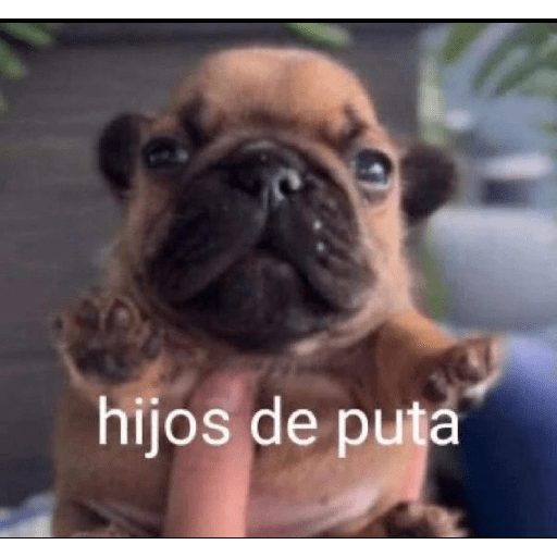 Yo que se 6