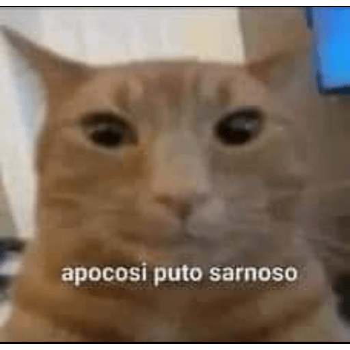 Yo que se 5