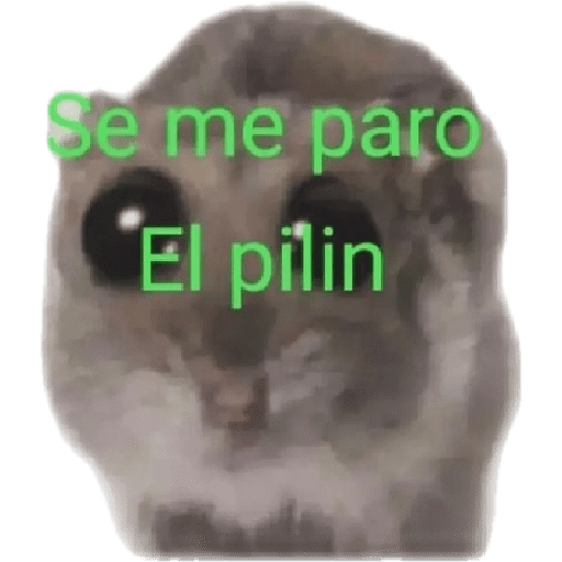 Yo que se 11