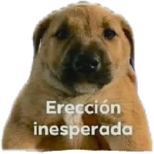 Yo que se 12