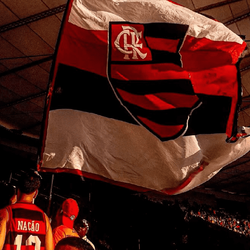Flamengo memes 15
