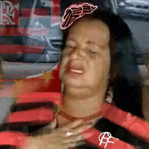 Flamengo memes 13
