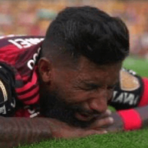 Flamengo memes 11