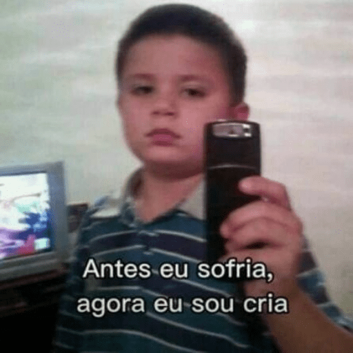Memes  13