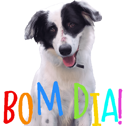 Bom dia☀️ 2