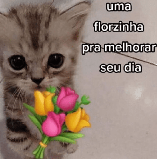 Bom dia☀️ 14
