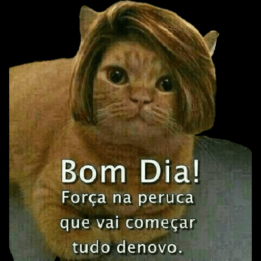 Bom dia☀️ 4